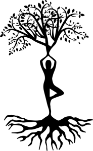 Origin of Yoga Yog Law